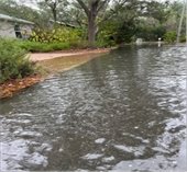 Althea & Seminole Dr